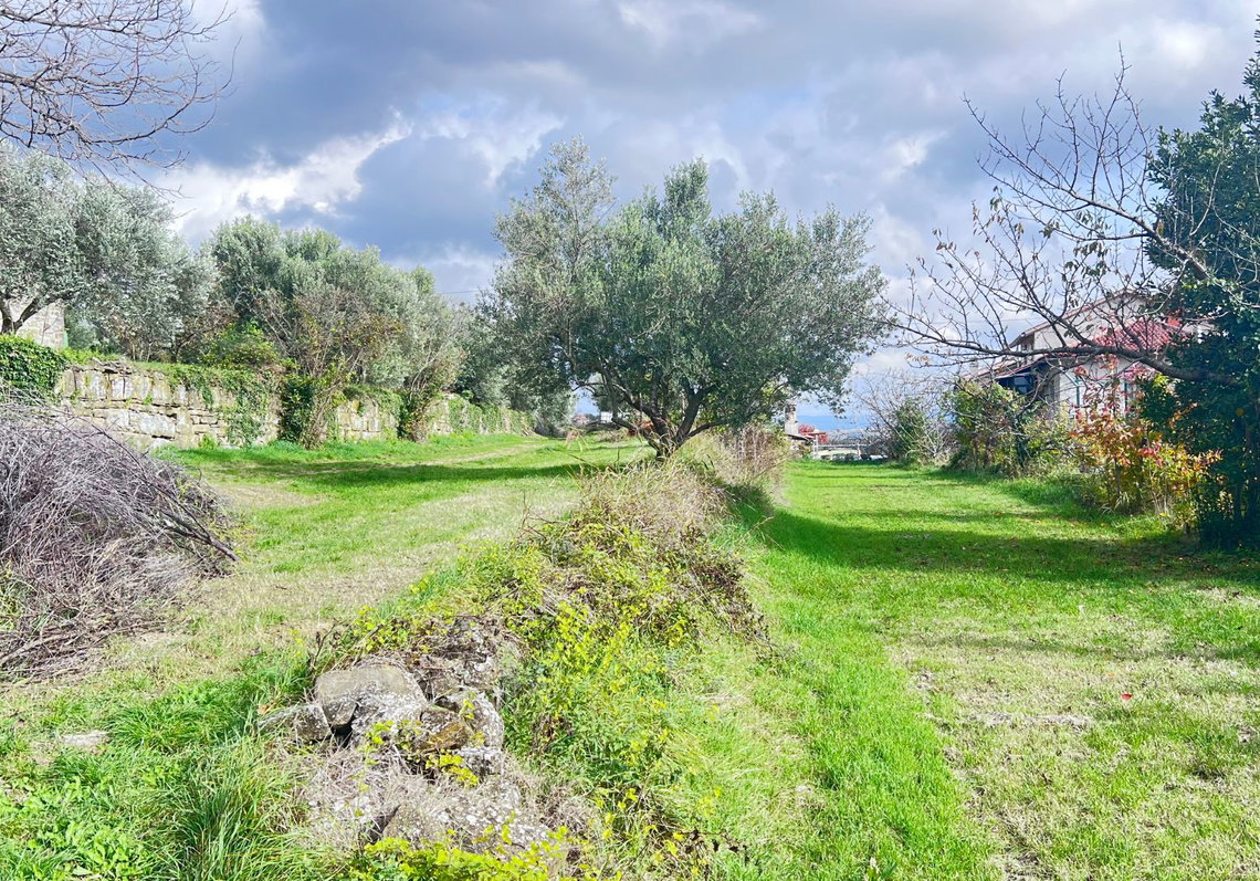 Lokacija: Obalno - kraška, Koper, Puče