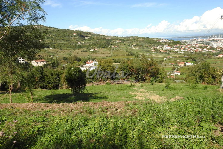 Location: Obalno - kraška, Koper, Koper