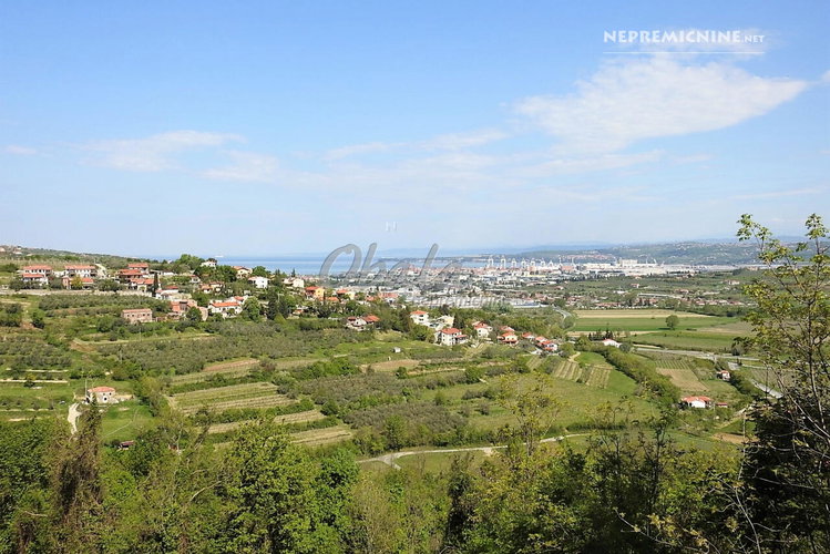 Location: Obalno - kraška, Koper, Koper