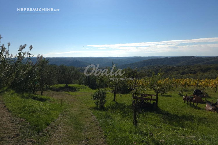 Location: Obalno - kraška, Izola, Izola