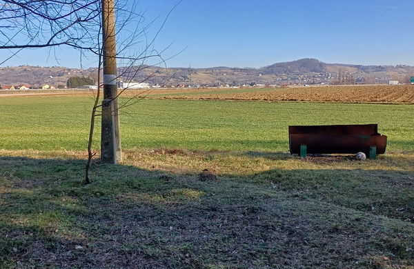 Lokacija: Podravska, Maribor, Zrkovci
