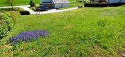 Lokacija: Podravska, Kungota, Svečina