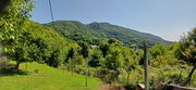 Lokacija: Hrvaška, Varaždinska županija, Bednja