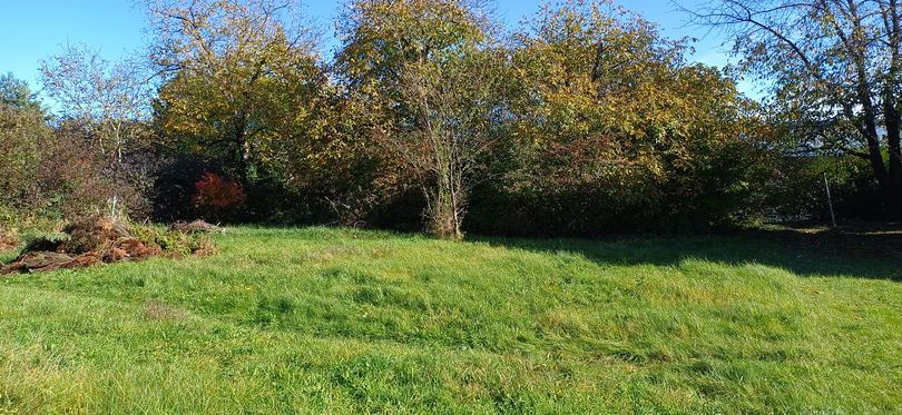 Lokacija: Podravska, Maribor, Studenci