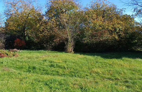 Lokacija: Podravska, Maribor, Studenci