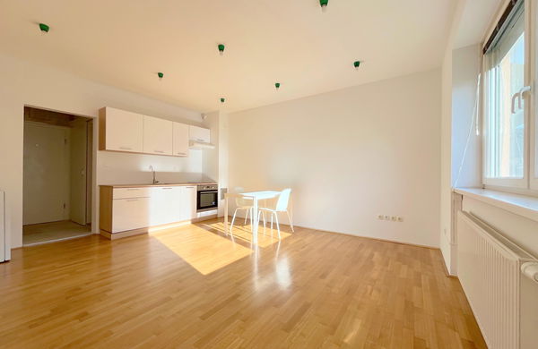 Lokacija: Ljubljana mesto, Bežigrad, Bežigrad