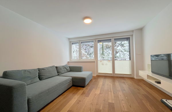 Lokacija: Ljubljana okolica, Vrhnika, Vrhnika