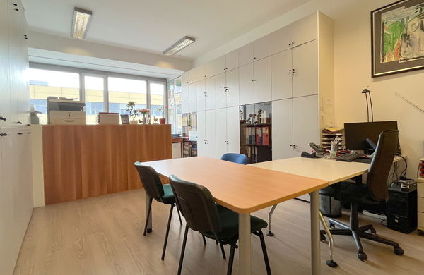 Lokacija: Ljubljana mesto, Vič-Rudnik, Brdo