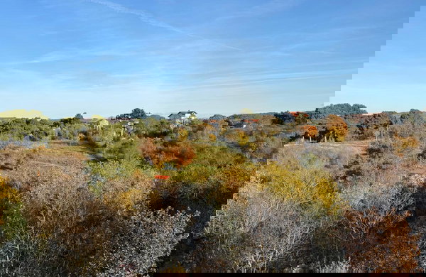 Lokacija: Hrvaška, Istarska županija, Buje, Kaštel