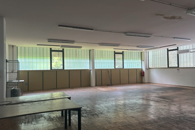 Location: Pomurska, Beltinci, Beltinci
