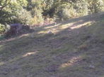Location: Gorenjska, Jesenice, Blejska Dobrava