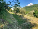 Location: Coastal-Karst, Koper, Koper