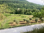 Lokacija: Obalno - kraška, Koper, Koper
