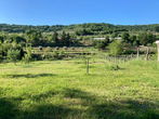 Location: Coastal-Karst, Koper, Koper