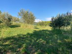 Location: Coastal-Karst, Koper, Koper