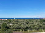 Lokacija: Hrvaška, Istarska županija, Umag