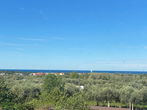 Lokacija: Hrvaška, Istarska županija, Umag