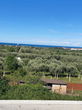 Lokacija: Hrvaška, Istarska županija, Umag