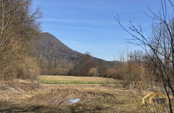 Lokacija: Ljubljana grad, Šiška, Stanežiče