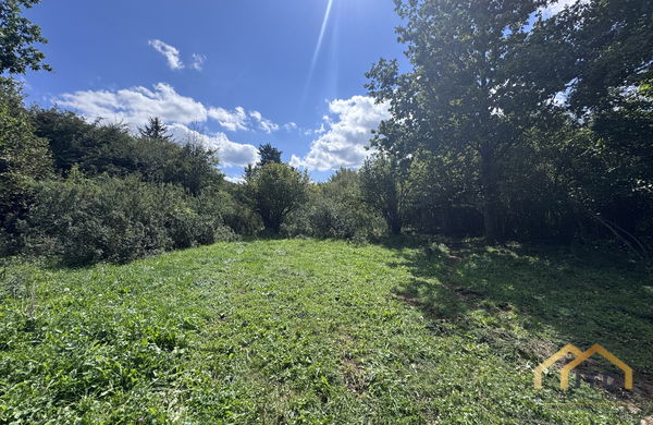 Lokacija: Notranjsko - kraška, Loška Dolina, Vrhnika pri Ložu