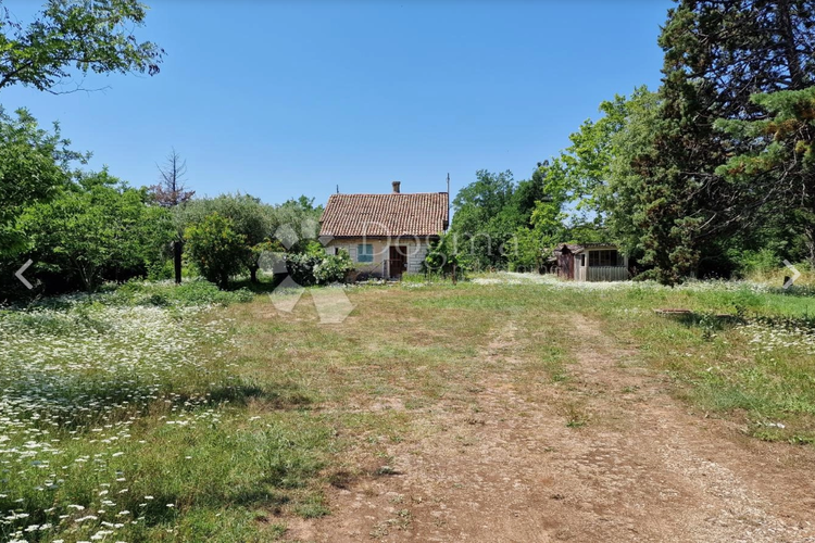 Ubicación: Hrvaška, Istarska županija, Savudrija