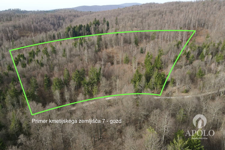 Lokacija: Notranjsko - kraška, Postojna, Koče