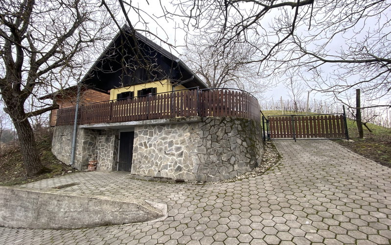 Location: Podravska, Cirkulane, Gradišča