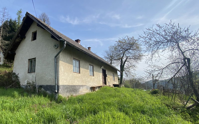 Lokacija: Podravska, Podlehnik, Kozminci