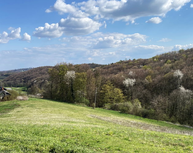 Lokacija: Podravska, Ormož, Litmerk