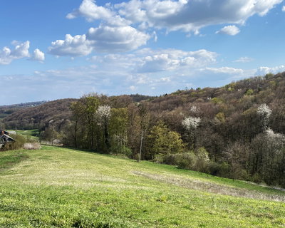 Lokacija: Podravska, Ormož, Litmerk