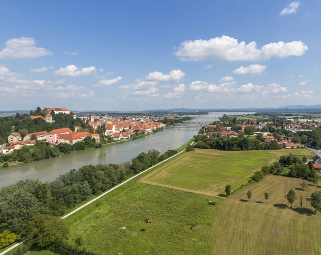 Location: Podravska, Ptuj, Center