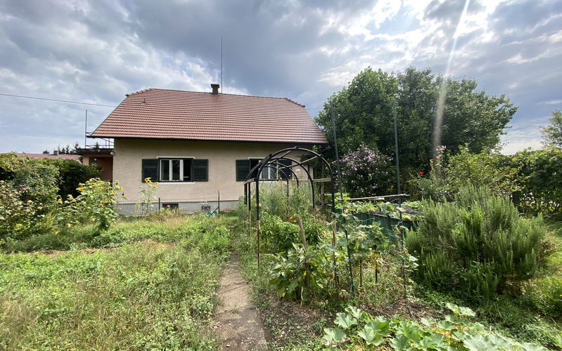 Lokacija: Podravska, Ptuj, Center