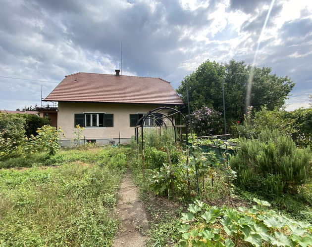 Location: Podravska, Ptuj, Center