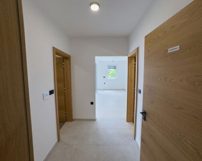 Location: Podravska, Starše, Starše