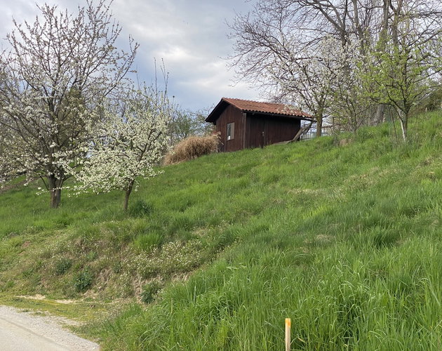 Location: Podravska, Ptuj, Kicar