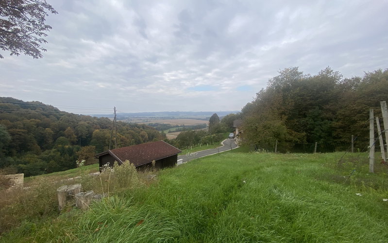 Lokacija: Podravska, Juršinci, Gabrnik
