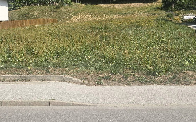 Lokacija: Podravska, Ormož, Velika Nedelja