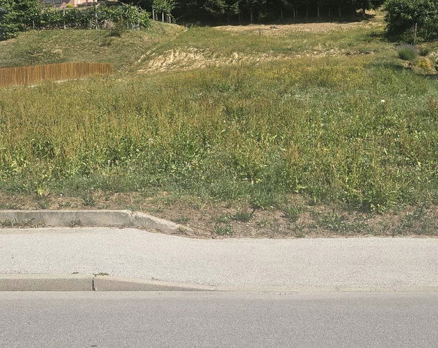 Lokacija: Podravska, Ormož, Velika Nedelja