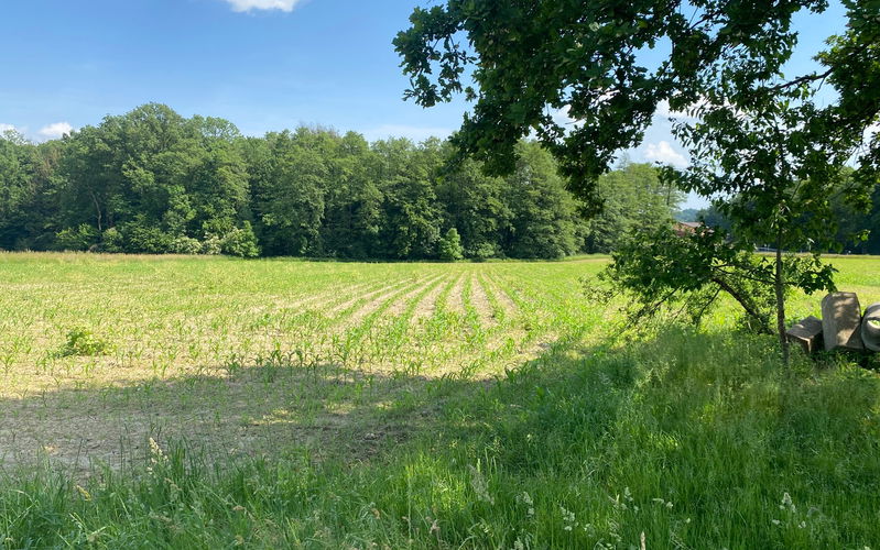 Location: Podravska, Trnovska vas, Biš