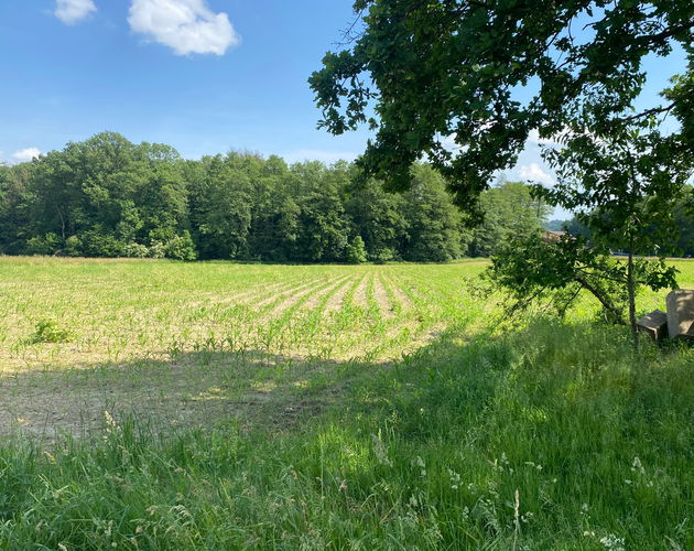 Location: Podravska, Trnovska vas, Biš