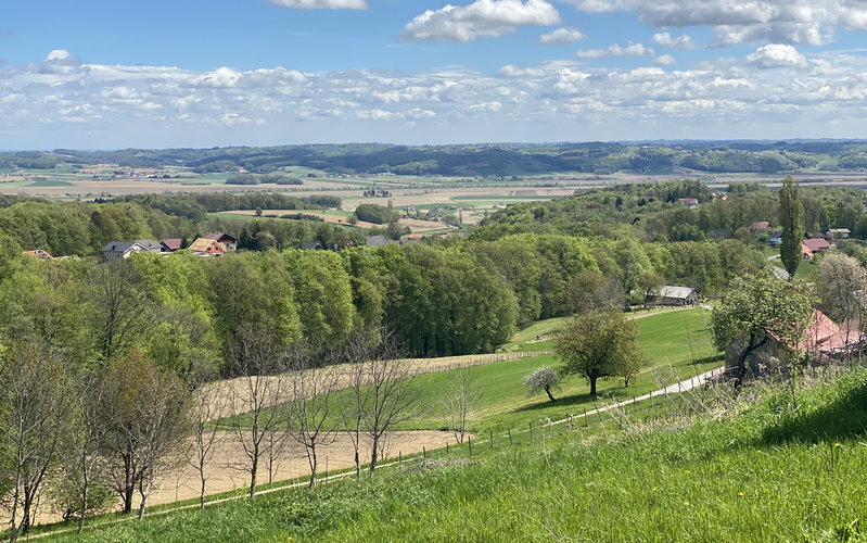 Location: Podravska, Destrnik, Destrnik