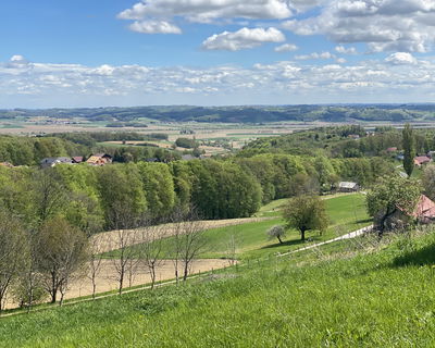 Location: Podravska, Destrnik, Destrnik