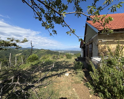 Location: Podravska, Majšperk, Janški Vrh