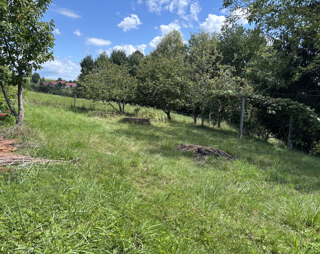 Lokacija: Podravska, Destrnik, Dolič