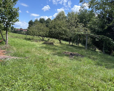 Lokacija: Podravska, Destrnik, Dolič