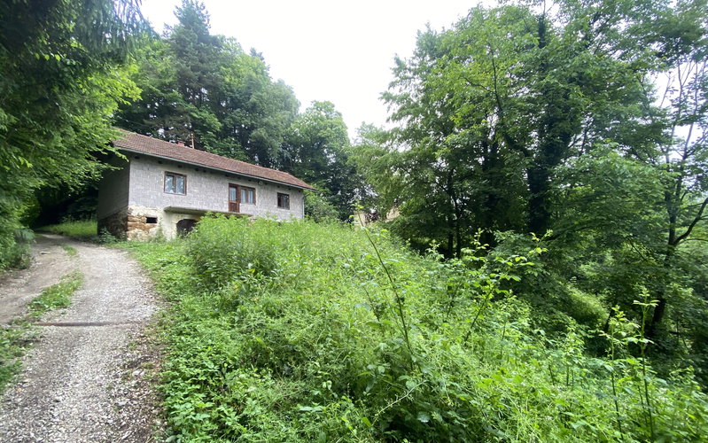 Lokacija: Savinjska, Šentjur, Bukovje pri Slivnici