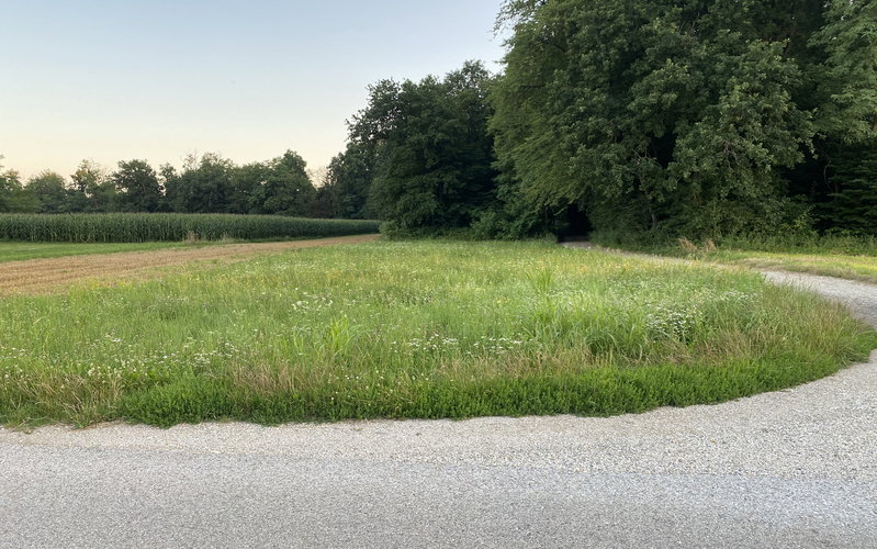 Location: Podravska, Hajdina, Draženci