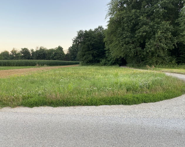 Location: Podravska, Hajdina, Draženci