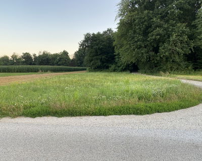 Location: Podravska, Hajdina, Draženci