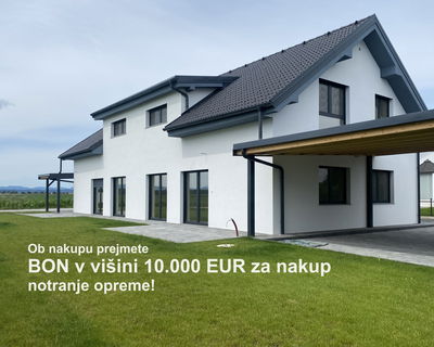 Location: Podravska, Dornava, Dornava